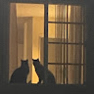 Meet your Posher, Elijah